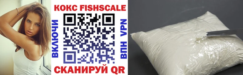 КОКАИН Fish Scale  mega вход  Шилка  как найти  