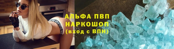 PSILOCYBIN Беломорск