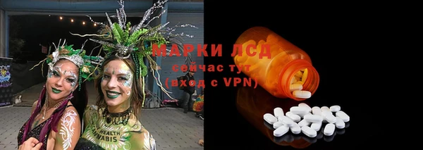 PSILOCYBIN Беломорск