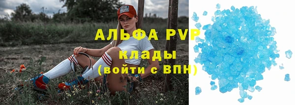 PSILOCYBIN Беломорск