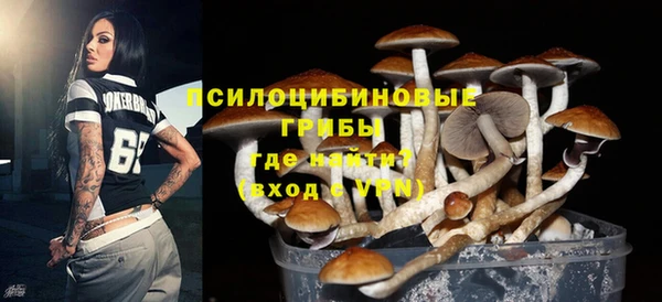 PSILOCYBIN Беломорск