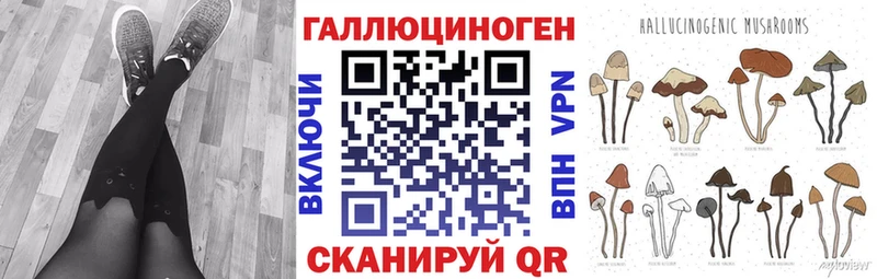 купить  сайты  Шилка  Псилоцибиновые грибы мицелий 