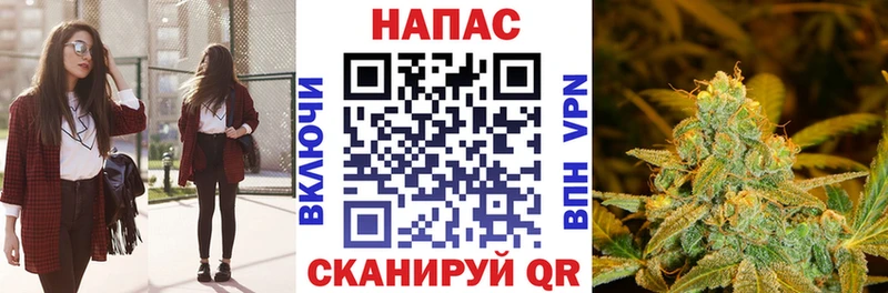 Конопля VHQ  Шилка 